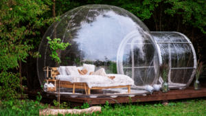 Backyard Glamping: Experience the Serenity of Nature without Leaving Home